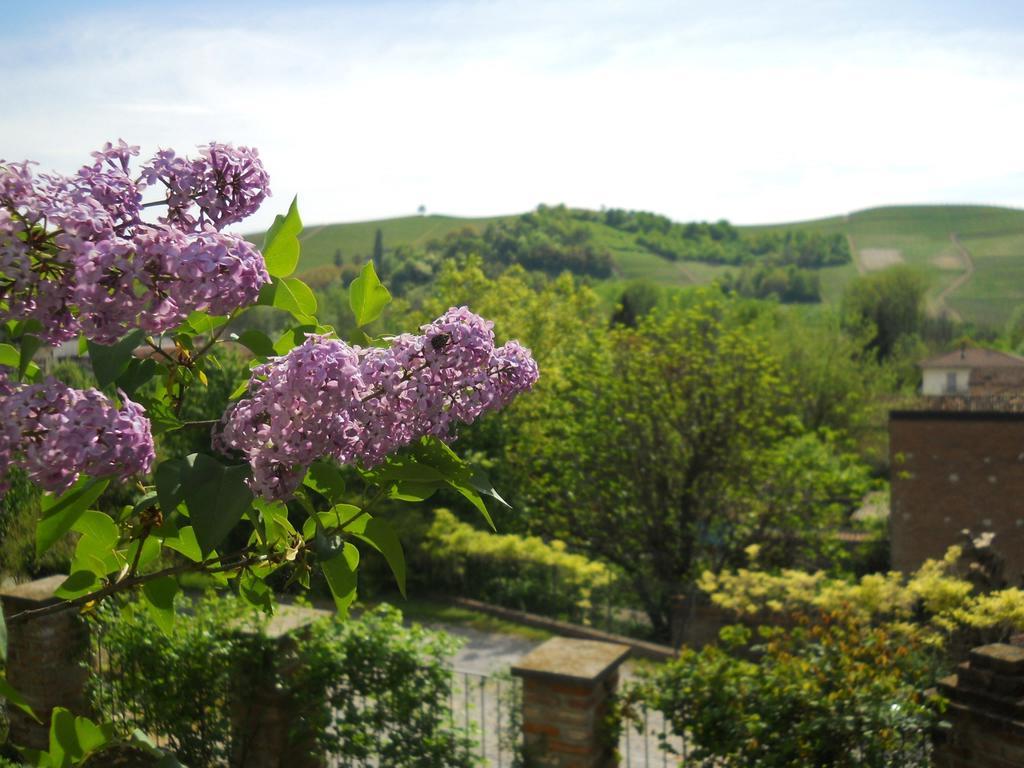 Tenuta Calabiana Diano dʼAlba Zimmer foto