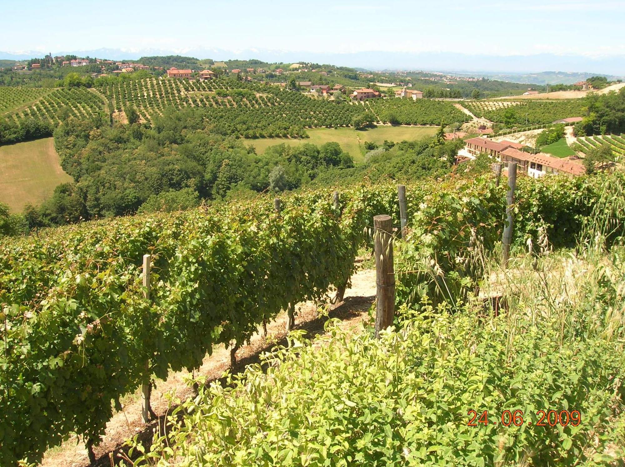 Tenuta Calabiana Diano dʼAlba Exterior foto