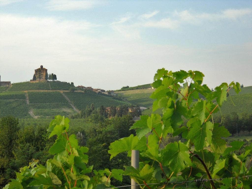 Tenuta Calabiana Diano dʼAlba Zimmer foto